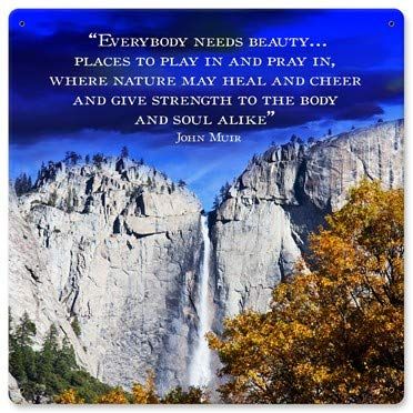12 X 12 Satin Metal Sign - Everybody Needs Beauty