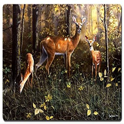 24 X 16 Satin Metal Sign - Emerald Forest