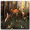 24 X 16 Satin Metal Sign - Emerald Forest view 1