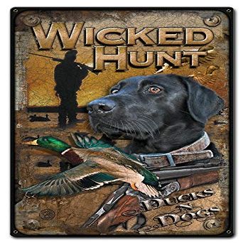 12 X 18 - Metal Sign - Ducks And Dogs