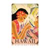 12 X 18 Vintage Metal Sign - Hawaii/W Wood Frame/W Wood Frame view 1