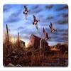 12 X 18 Satin Metal Sign - Seasons End view 1