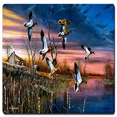 24 X 16 Satin Metal Sign - Birds Final Approach