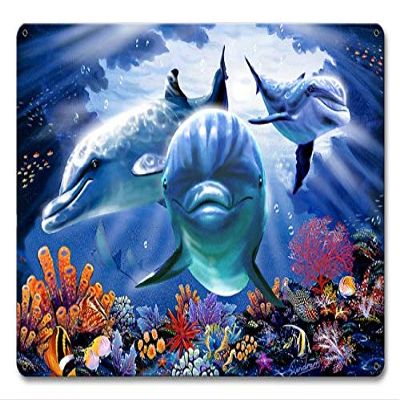 12 X 18 Satin Metal Sign - Dolphin Cave