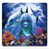 12 X 18 Satin Metal Sign - Dolphin Cave view 1