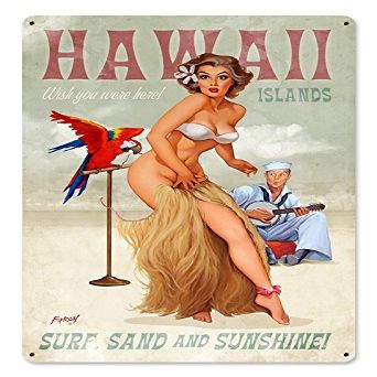 12 X 18 Satin Metal Sign Hawaii Islands