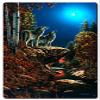 16 X 24 Satin Metal Sign - Wolf Duet view 1