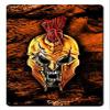 12 X 18 Satin Metal Sign - Spartan Skull view 1