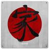 12 X 12 Satin Metal - Sign Home Kanji view 1