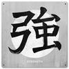 12 X 12 Satin Metal - Sign Strength Kanji view 1