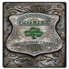 12 X 18 - Metal Sign - Ireland Police view 1