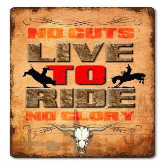 12 X 18 Satin Metal Sign - No Guts No Glory
