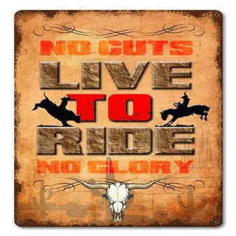 12 X 18 Satin Metal Sign - No Guts No Glory