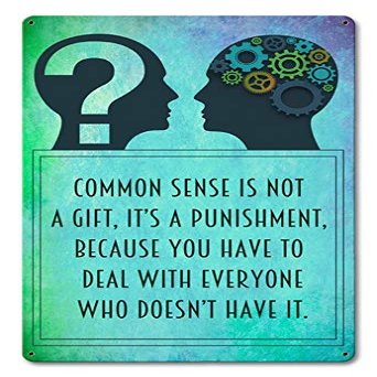 12 X 18 Satin Metal Sign - Common Sense