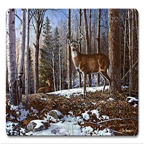 12 X 18 Satin Metal Sign - North Ridge Whitetails