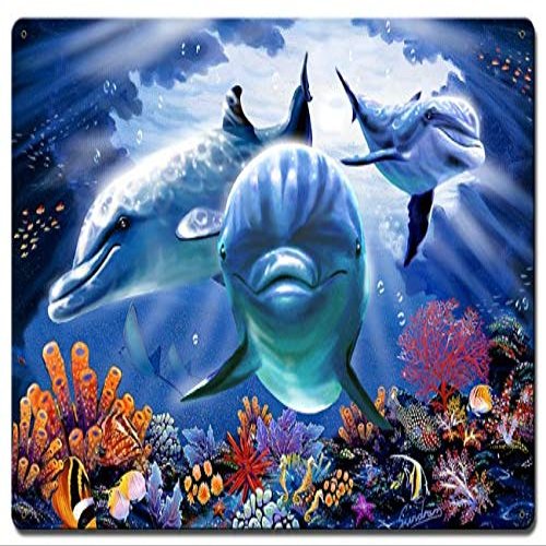 16 X 24 Satin Metal Sign - Dolphin Cave