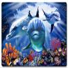 16 X 24 Satin Metal Sign - Dolphin Cave view 1