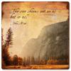 12 X 12 Satin Metal Sign - The Sun Shines On Us view 1