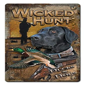 12 X 15 Satin Metal Sign Ducks And Dogs