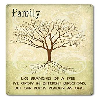 12 X 18 Satin Metal Sign - Family Like Branches/W Wood Frame/W Wood Frame