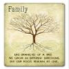 12 X 18 Satin Metal Sign - Family Like Branches/W Wood Frame/W Wood Frame view 1