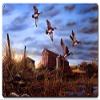 16 X 24 Satin Metal Sign - Seasons End view 1