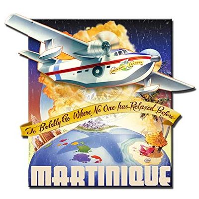 12 X 16 Plasma Metal Sign - Boldly Go Seaplane