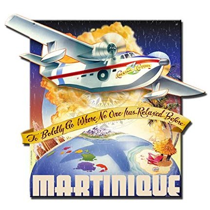 12 X 16 Plasma Metal Sign - Boldly Go Seaplane