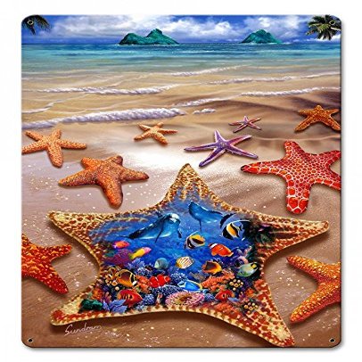 12 X 15 Satin Metal Sign - Starfish Shore