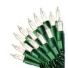 Celebrations Mini Light Set Bulb Color: Clear Light view 1