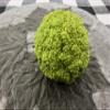 Concrete Resurrection Hand Crafted, Made in USA Cement Decorative Hedge Apples Pomifera, Hedge Balls, Osage Oranges, Home Decor (3) view 1