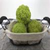 Concrete Resurrection Hand Crafted, Made in USA Cement Decorative Hedge Apples Pomifera, Hedge Balls, Osage Oranges, Home Decor (3) view 2