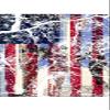 Magnet Let Them Eat Cake Anti Trump MAGA GOP 2020 2018 Impeach Magnet Vinyl Magnetic Sheet for Lockers, Cars, Signs, Refrigerator 5" view 1