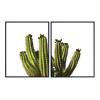 Saguaro Cactus Wall Art, Photo Set  Unique 8x10 Desert Posters for Living Room, Bedroom, Arizona, Utah, Nevada Home, Office, Apartment - Wall Decor Gift for Nature Lover  Unframed Picture Prints view 1
