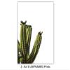 Saguaro Cactus Wall Art, Photo Set  Unique 8x10 Desert Posters for Living Room, Bedroom, Arizona, Utah, Nevada Home, Office, Apartment - Wall Decor Gift for Nature Lover  Unframed Picture Prints view 4