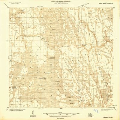 YellowMaps Dinner Island FL topo map, 1:48000 Scale, 15 X 15 Minute, Historical, 1937, 27.3 x 23 in - Polypropylene