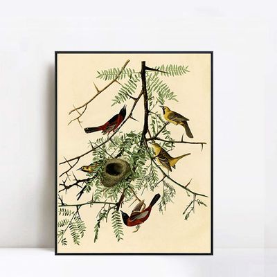 INVIN ART Framed Canvas Giclee Print Orchard Oriole by John James Audubon Wall Art Living Room Home Office Decorations(Black Slim Frame,20"x24")