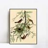 INVIN ART Framed Canvas Giclee Print Orchard Oriole by John James Audubon Wall Art Living Room Home Office Decorations(Black Slim Frame,20"x24") view 1
