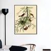 INVIN ART Framed Canvas Giclee Print Orchard Oriole by John James Audubon Wall Art Living Room Home Office Decorations(Black Slim Frame,20"x24") view 2