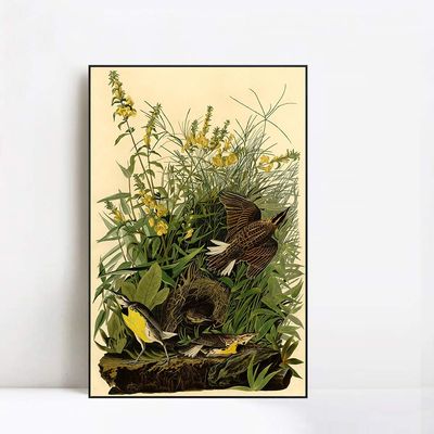 INVIN ART Framed Canvas Giclee Print Meadow Lark by John James Audubon Wall Art Living Room Home Office Decorations(Black Slim Frame,20"x28")