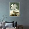 INVIN ART Framed Canvas Giclee Print Herring Gull by John James Audubon Wall Art Living Room Home Office Decorations(White Slim Frame,20"x28") view 2