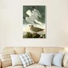 INVIN ART Framed Canvas Giclee Print Herring Gull by John James Audubon Wall Art Living Room Home Office Decorations(White Slim Frame,20"x28") view 3