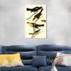 INVIN ART Framed Canvas Giclee Print Yellow headed Troopial by John James Audubon Wall Art Living Room Home Office Decorations(White Slim Frame,20"x28") view 3