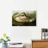 INVIN ART Framed Canvas Giclee Print Trumpeter Swan by John James Audubon Wall Art Living Room Home Office Decorations(White Slim Frame,20"x28") view 2