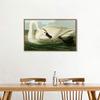 INVIN ART Framed Canvas Giclee Print Trumpeter Swan by John James Audubon Wall Art Living Room Home Office Decorations(Wood Color Slim Frame,20"x28") view 2