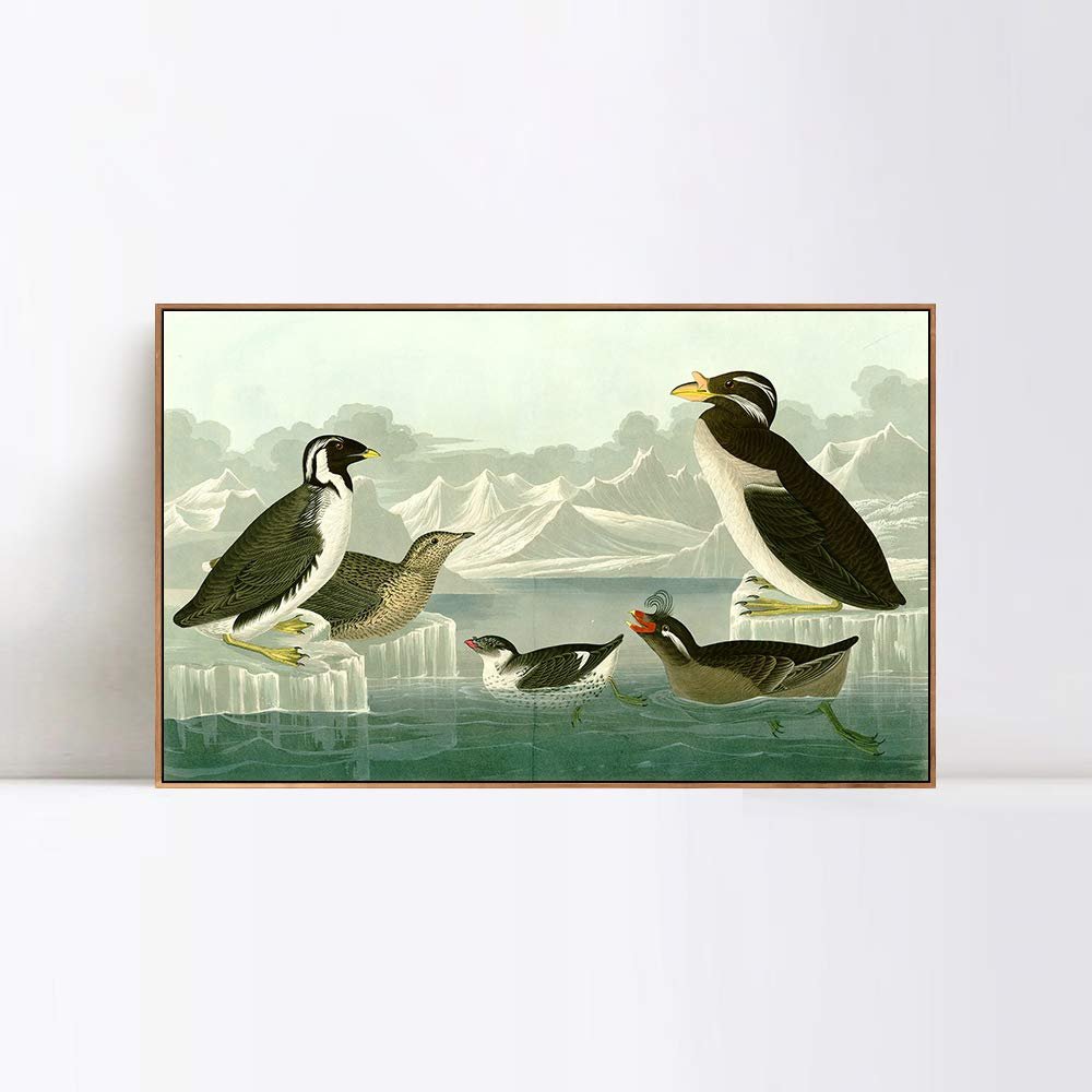 INVIN ART Framed Canvas Giclee Print Death in the Sickroom,1893 by John James Audubon Wall Art Living Room Home Office Decorations(Wood Color Slim Frame,20"x28")