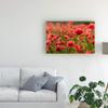 Trademark Fine Art The Light Behind by Kristin Gray, 16x24 view 3