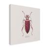 Trademark Fine Art Adorning Coleoptera VI Sq Claret by James Wiens, 18x18 view 2