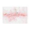 Trademark Fine Art Rainbow Seeds Abstract Blush Gray Crop by Lisa Audit, 16x24 view 1