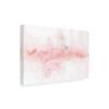 Trademark Fine Art Rainbow Seeds Abstract Blush Gray Crop by Lisa Audit, 16x24 view 2